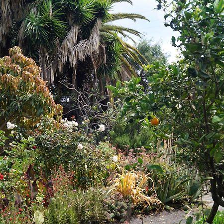 ロス・ジャノス・デ・アリダネ La Casita Del Jardineroヴィラ エクステリア 写真