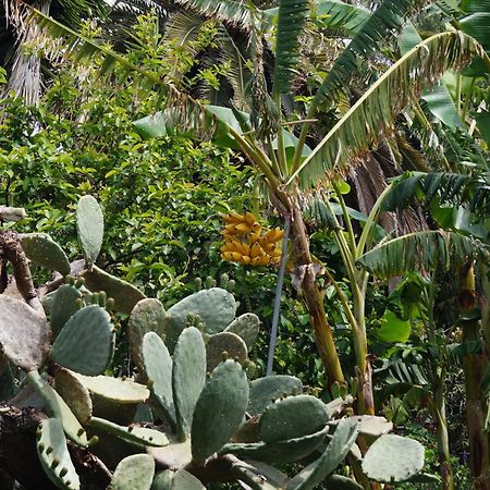 ロス・ジャノス・デ・アリダネ La Casita Del Jardineroヴィラ エクステリア 写真